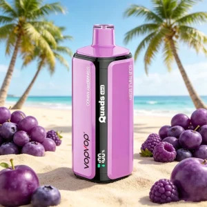 VopVop 120,000 Puffs Disposable Vape – 4 Flavors in 1 | High Capacity Vape 2026