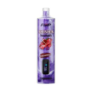 FIHP Shisha 15000 Puffs Hookah-Style Rechargeable Disposable Vape