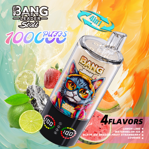 Bang Leader Stoll 100000 100K Puffs 4 in 1 Flavors Disposable Vape 0% 2% 3% 5% Nicotines 10Tastes Smart Screen-Vape