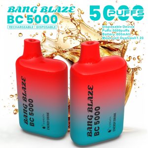 Bang Blaze BC5000 | 5000 Puffs Disposable Vape | 13mL | Long-Lasting | 5% Nicotine
