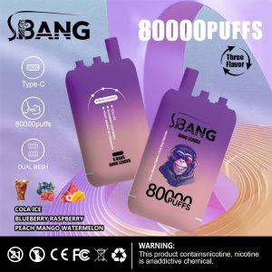 Bang leader 80000 Puffs Vape | 78ML E-liquid, 850mAh Battery, Triple Flavor Blend, Dual Coil, Type-C Recharge