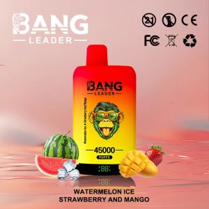Bang Leader 45000 45k Puffs Dual Flavors Disposable Vape pen 0% 2% 3% 5% Nicotine 12Tastes LED Display Factory Direct